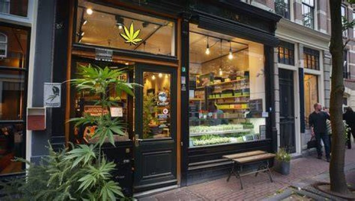 Amsterdam Marijuana Seeds And Usa Shipment