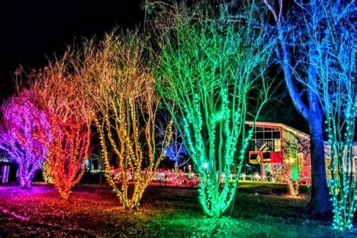 Annapolis, Maryland Xmas Light Installation
