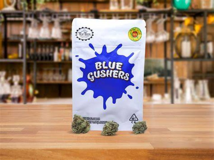 bat blue weed strain - gushers weed strain