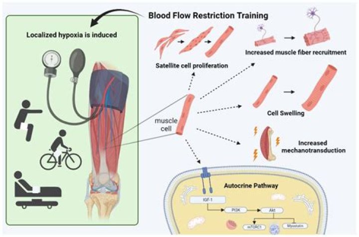 bfr training side effects