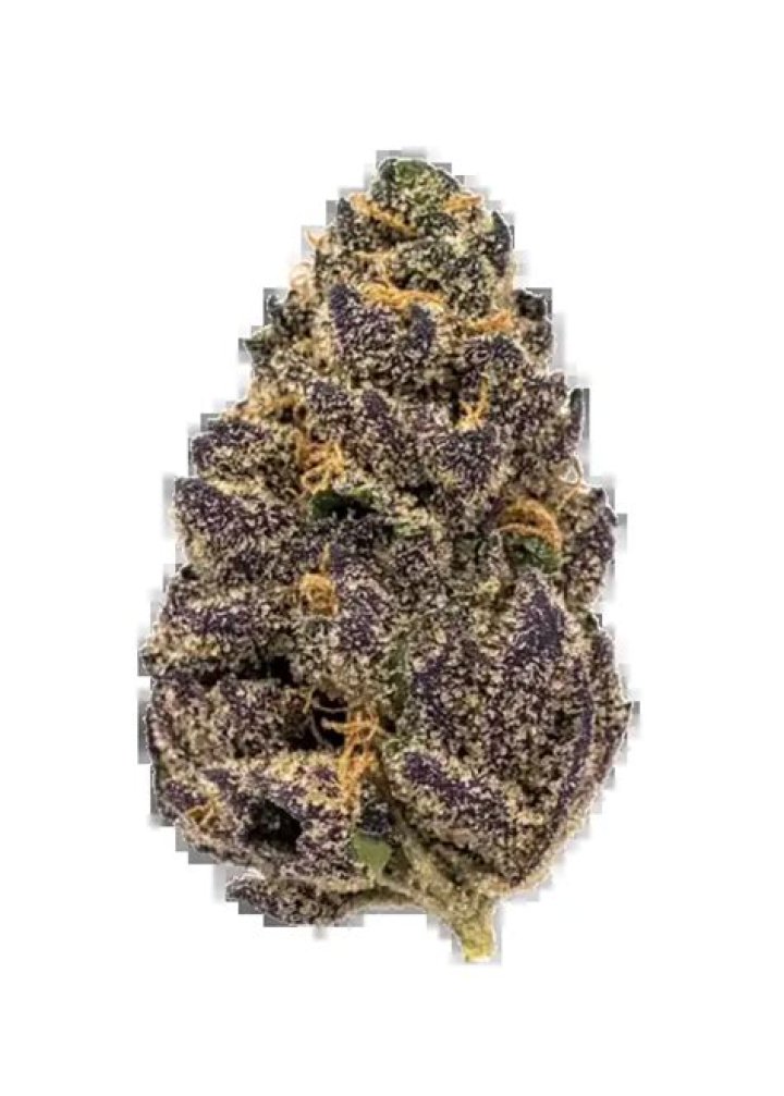 blue elephant weed strain - gushers weed strain