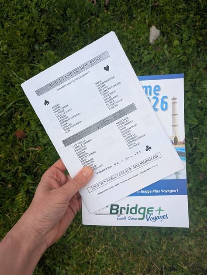 BridgePlus Manual