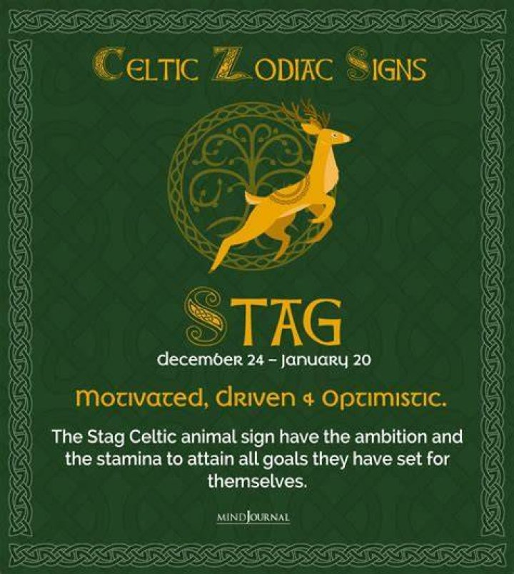 Celtic Astrology Animals And Zodiac