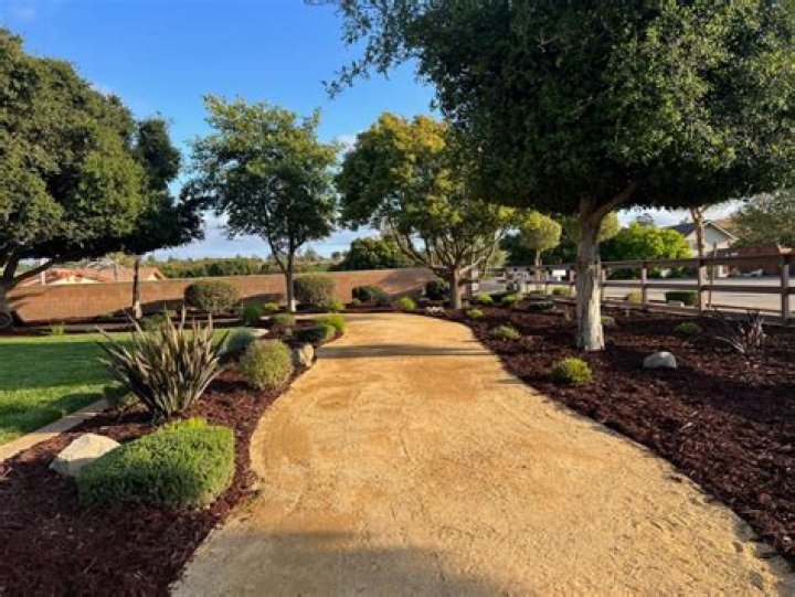 Denver's Elite Landscaping Construction - A Cut Above The Rest