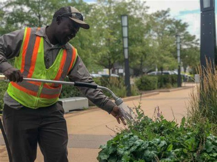 Denver Landscaping Professionals