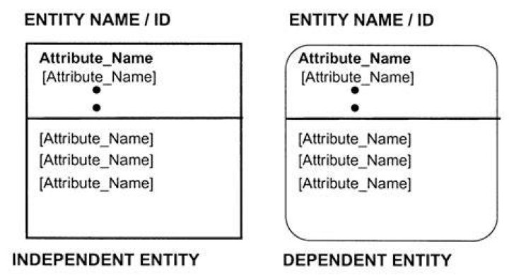 Dependent and Independent Entities