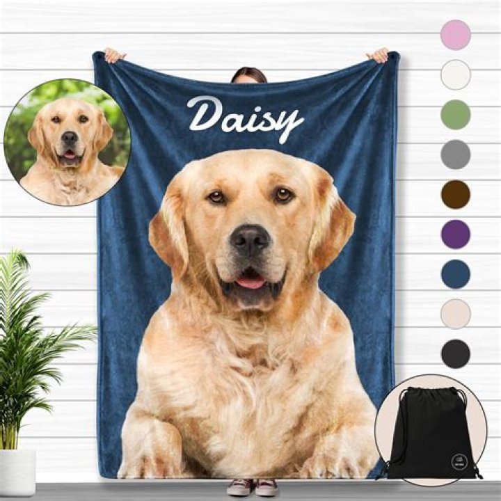 dog couch blankets - Custom Pet Blanket