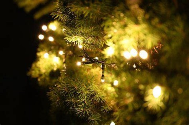 Full Service Christmas Light Installation in St. Joseph MO