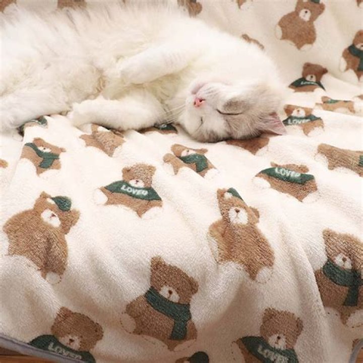 fuzzy cat blanket - Pet Blanket