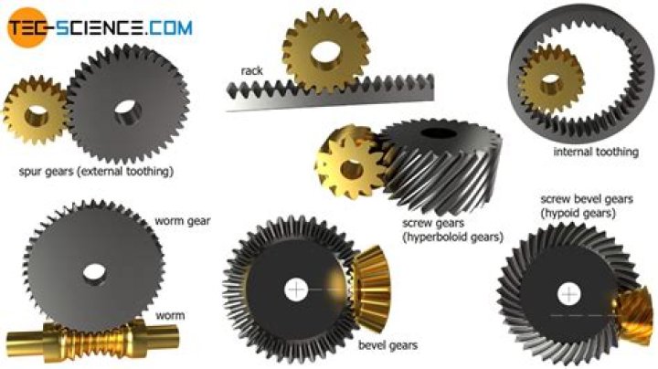 Gear