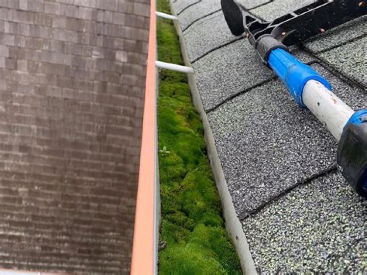 Gutter Cleaners Near Toledo