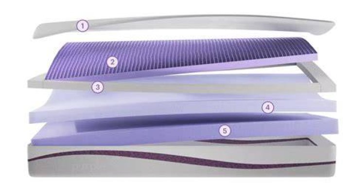 Owners of Purple Mattress - Purple Mattress