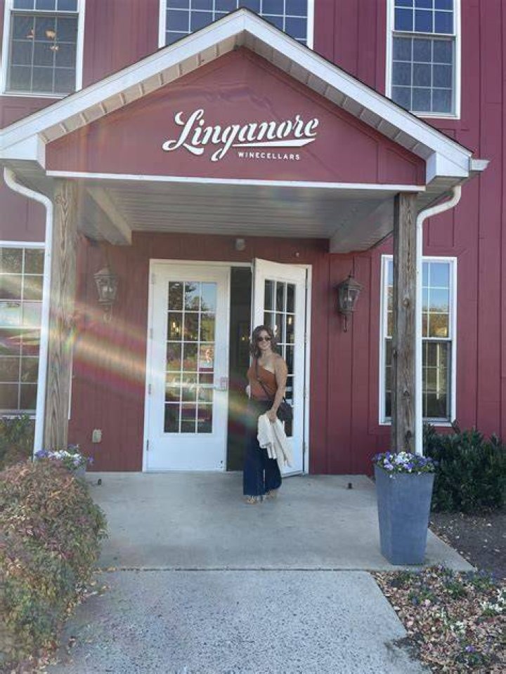Painter Linganore Bartonsville MD