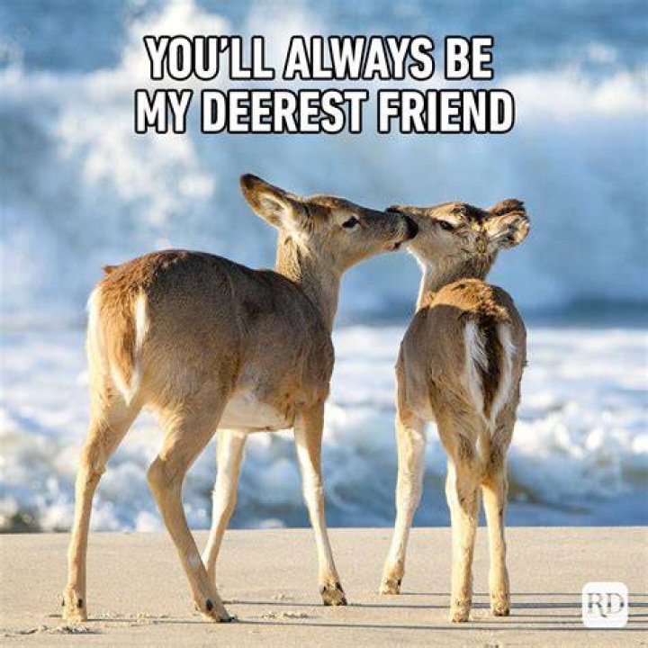 pictures to send to your best friend