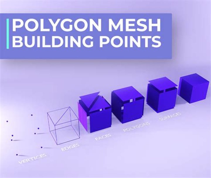 Polygon Mesh