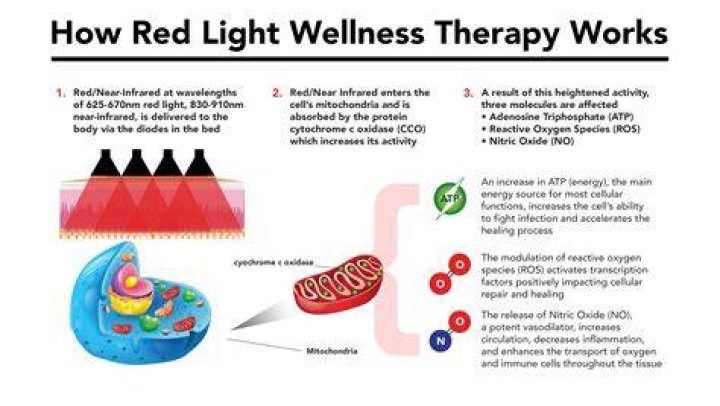 Red Light Therapy Real or Scam
