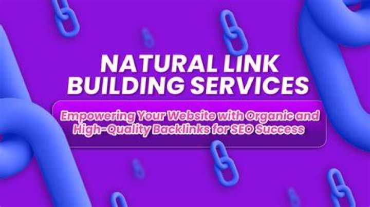 SEO Tutorial - You must have a Natural Link Building Profile