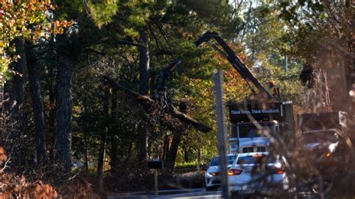 Tree Removal in Aiken SC