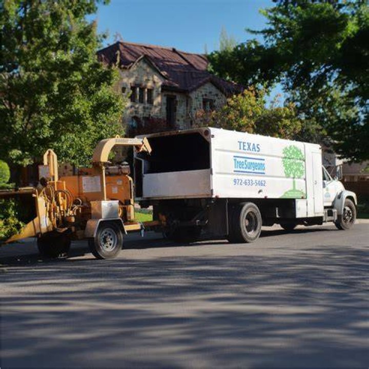 Tree Removal in Bedford TX