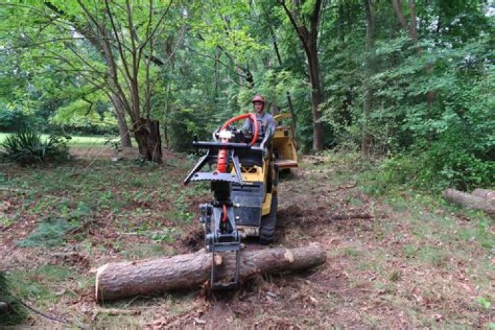 Tree Removal in Cecil GA