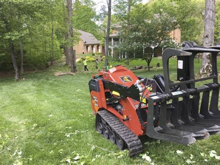 Tree Removal in Midlothian MD