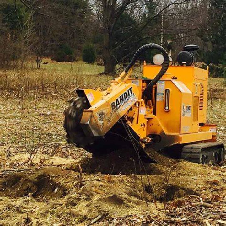 Tree Removal in Parshall ND