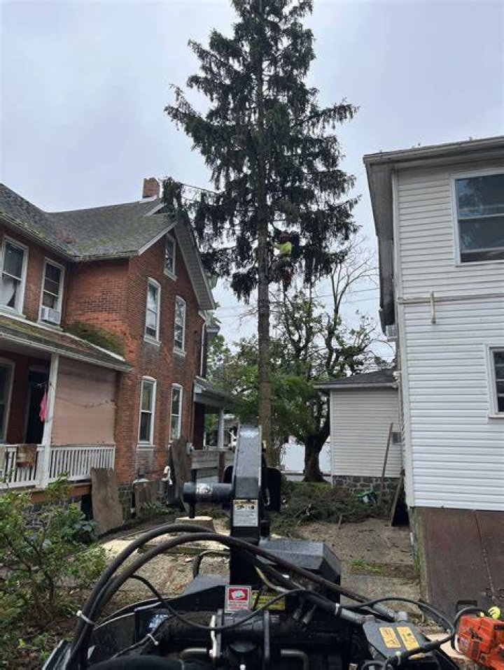 Tree Removal in Quakertown PA