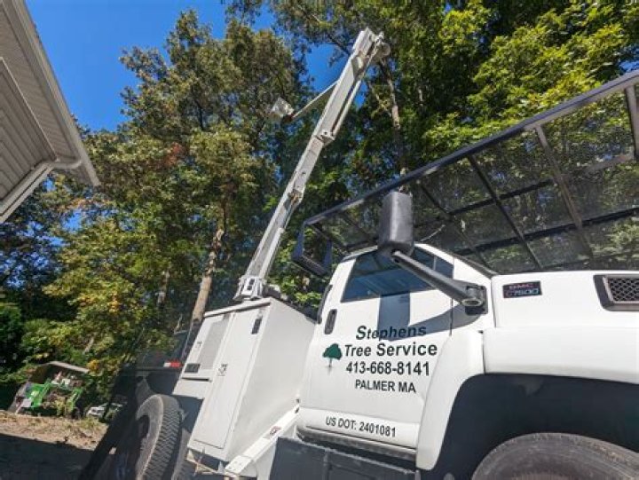 Tree Removal in Saint Stephens AL