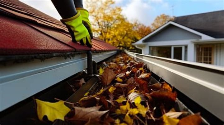 What is the Need to Get Professional Gutter Cleaning in Hillsboro?