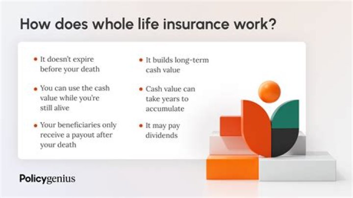 whole life insurance for